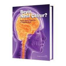 Beyin Nasıl Çalışır?